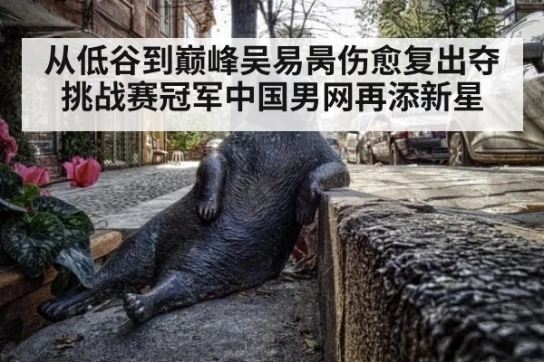 从低谷到巅峰吴易昺伤愈复出夺挑战赛冠军中国男网再添新星