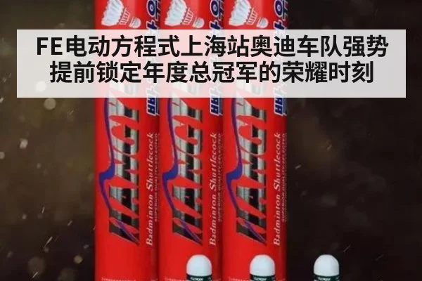 FE电动方程式上海站奥迪车队强势提前锁定年度总冠军的荣耀时刻